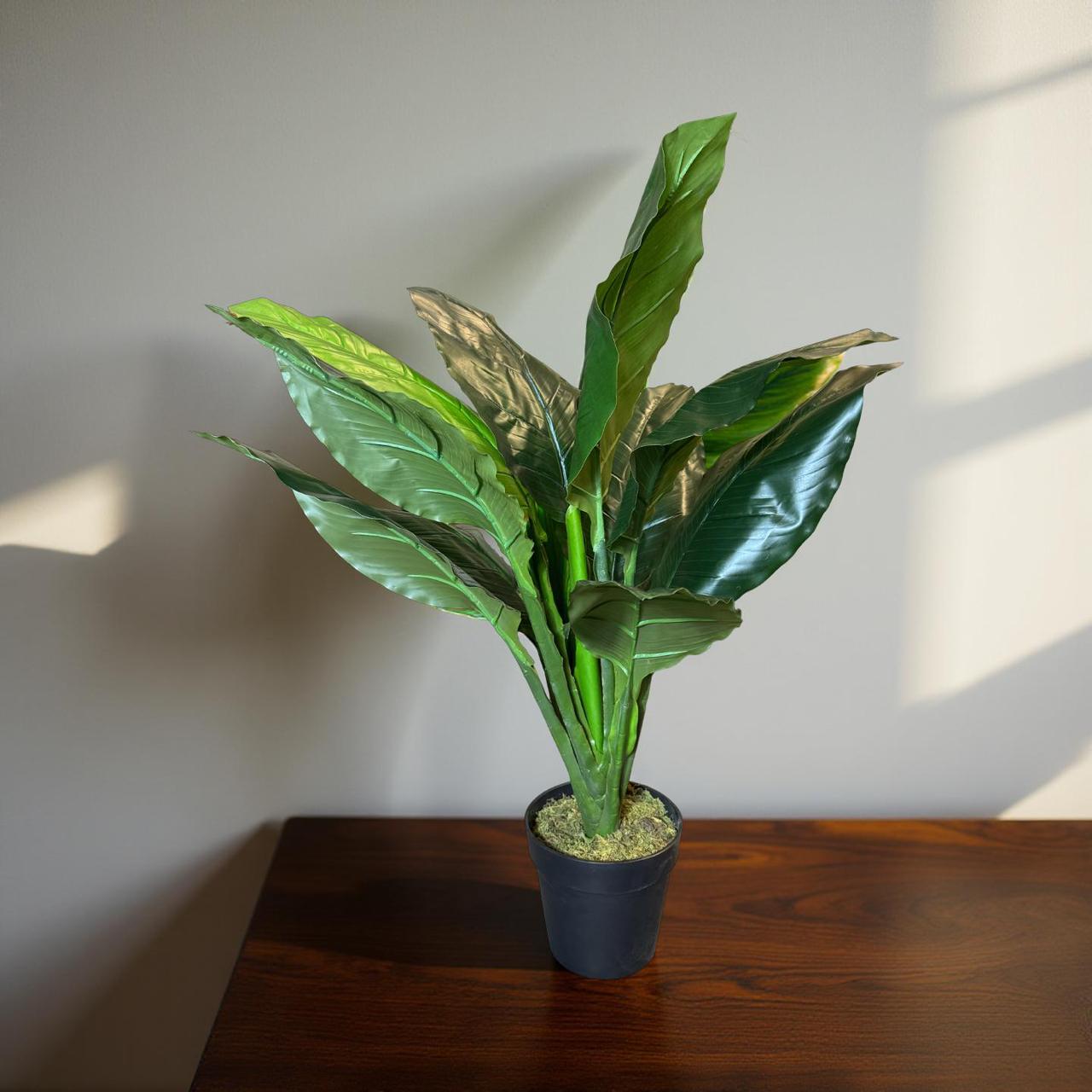 Cuna de Moisés Artificial