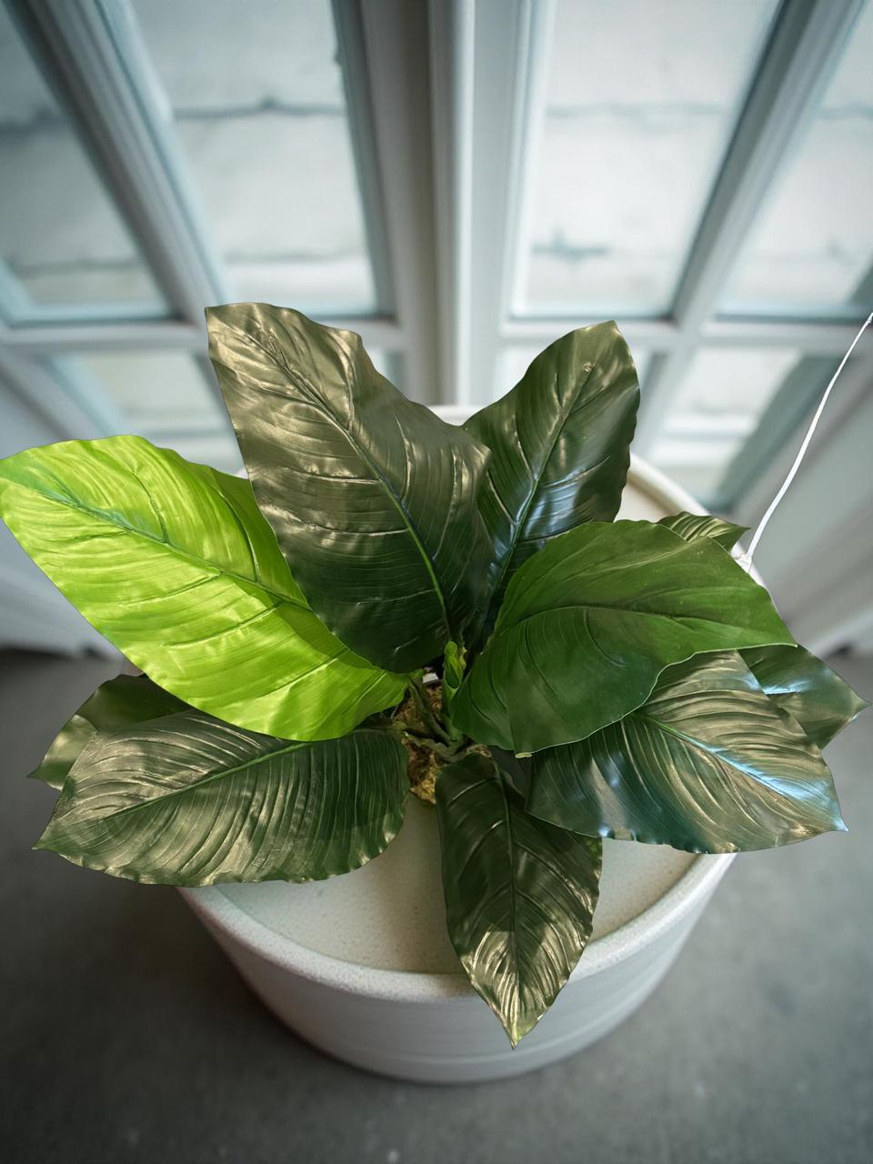 Cuna de Moisés Artificial