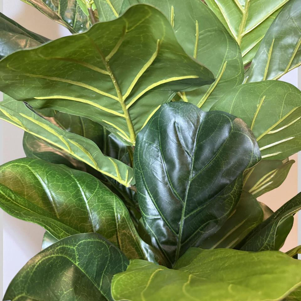 Pandurata Artificial