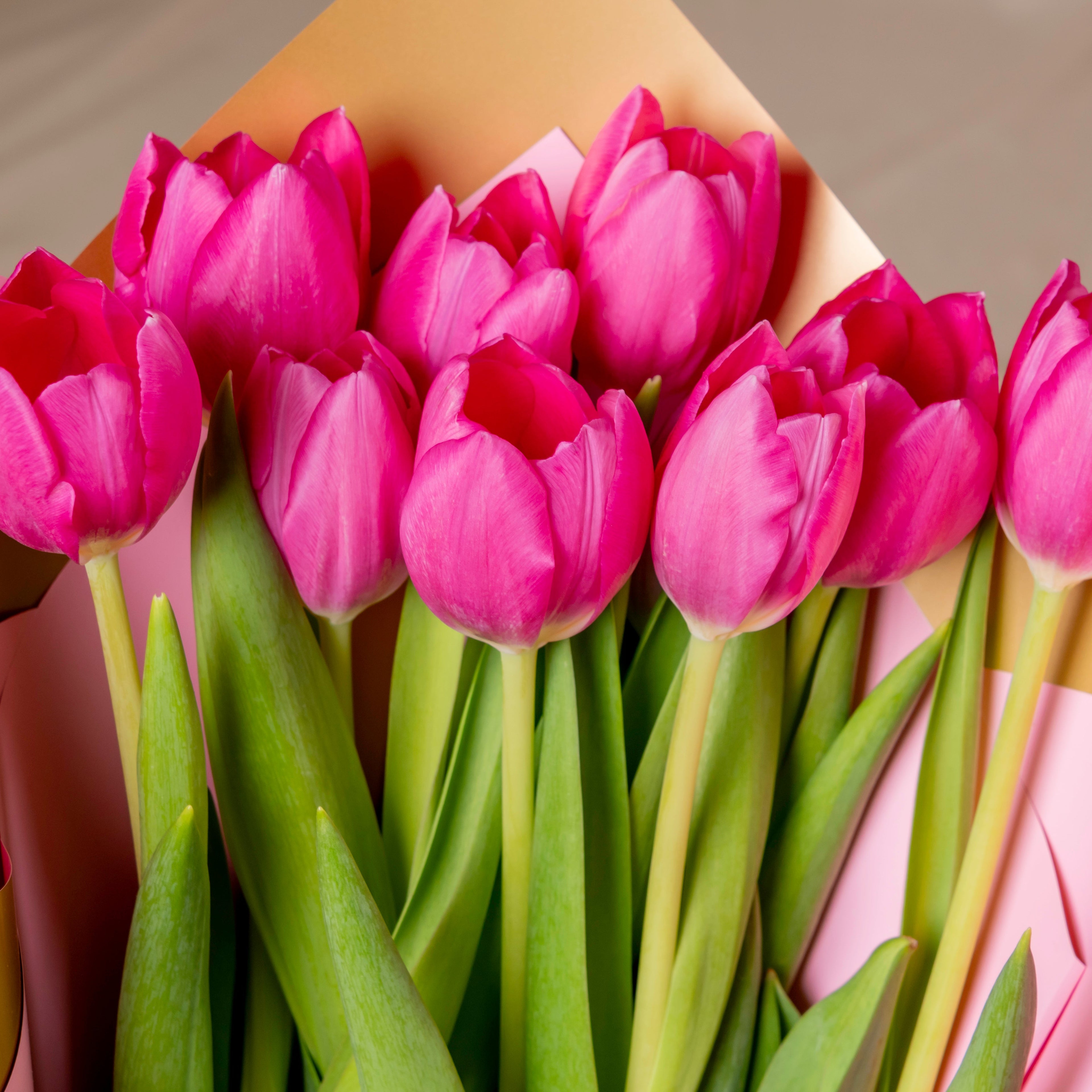Bouquet Tulipanes