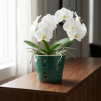 Clásica para orquídea.