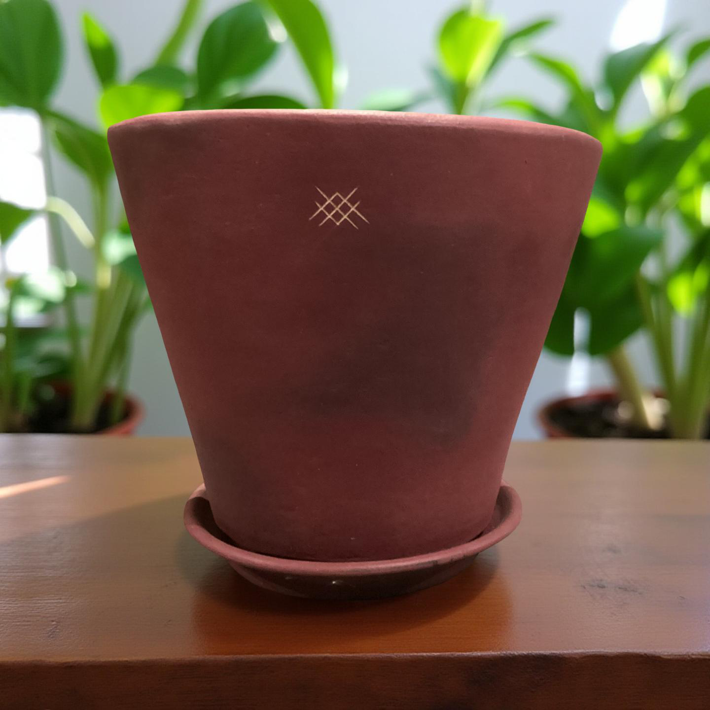 Sinaloa peque