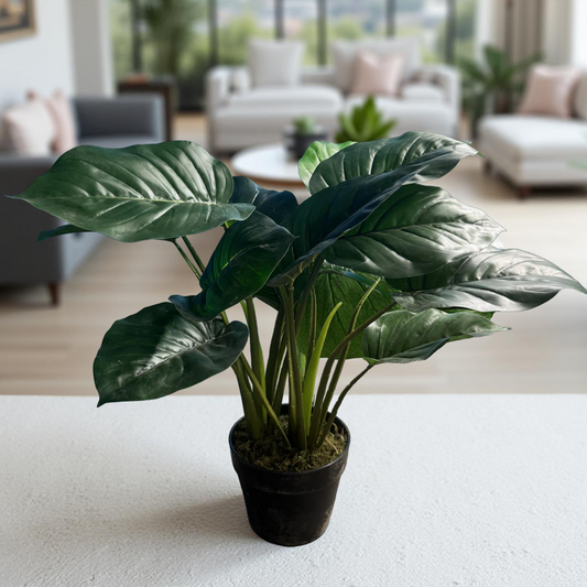 Alocasia Artificial