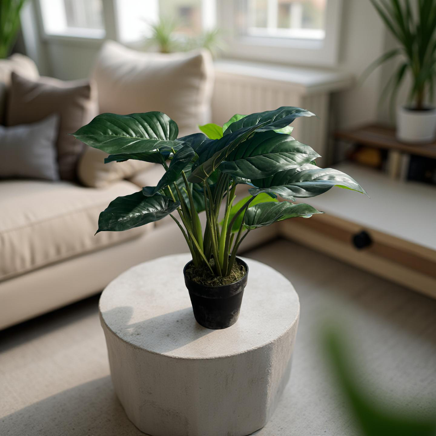 Alocasia Artificial