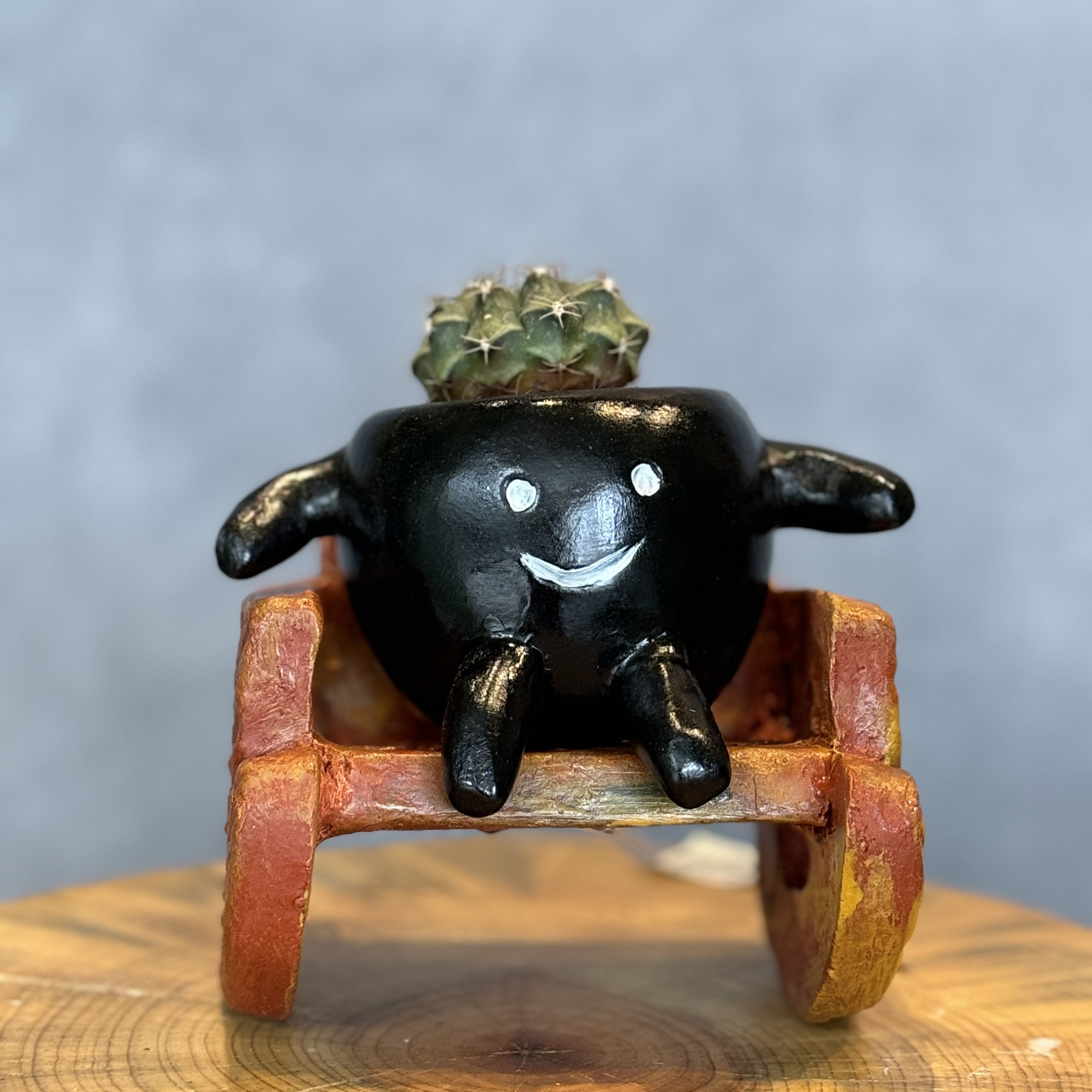 Mecedorcita
