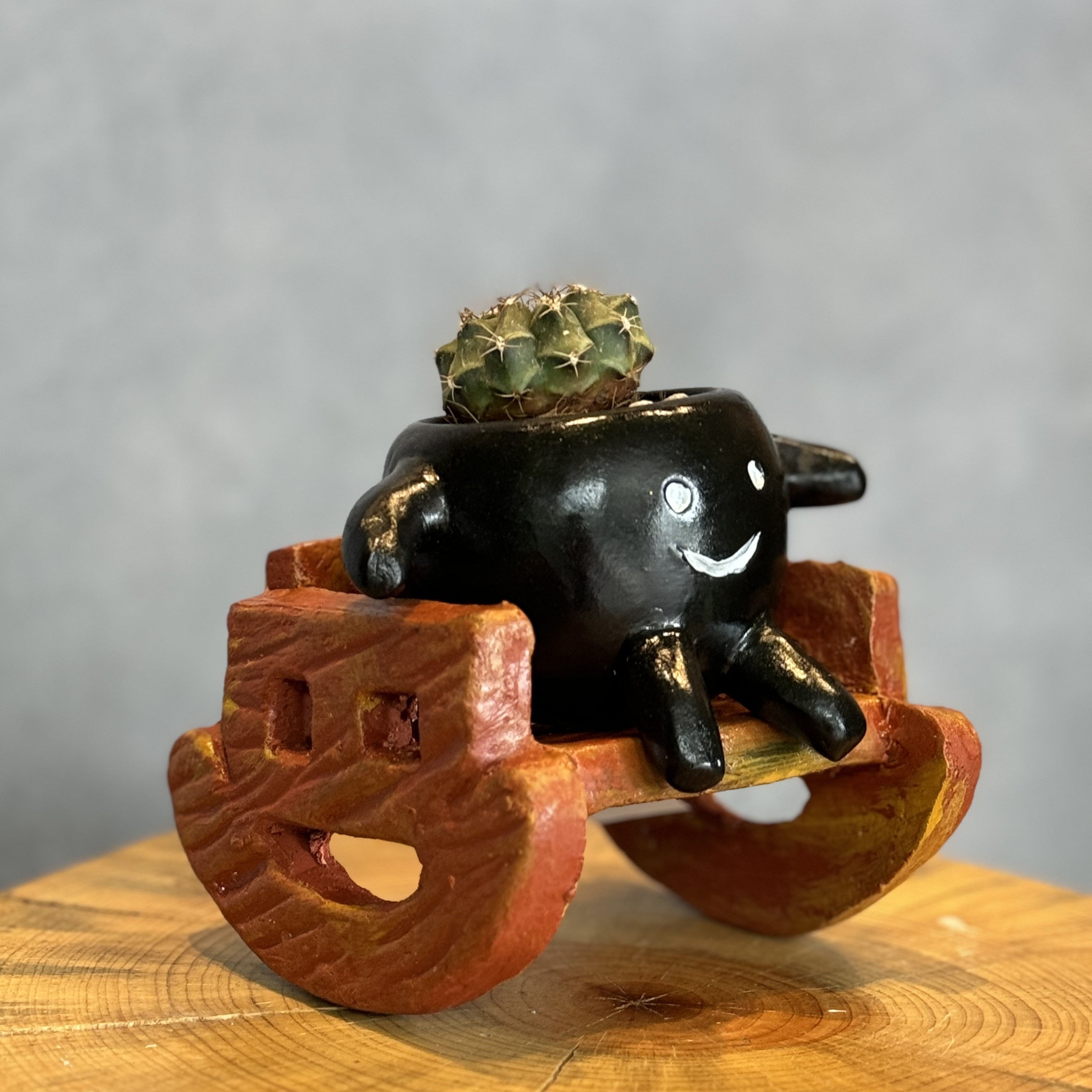 Mecedorcita