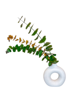 Set Minimalista