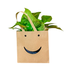Smiley Box