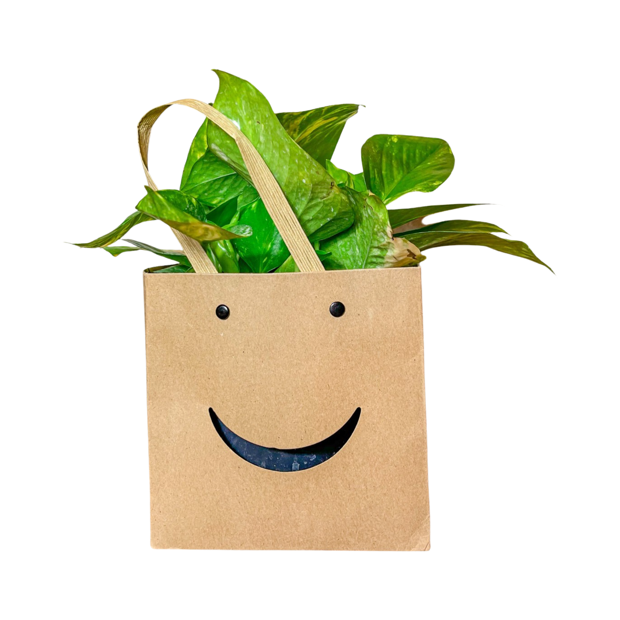 Smiley Box