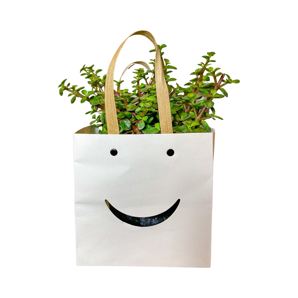 Smiley Box