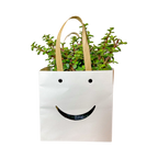 Smiley Box
