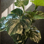 Monstera Artificial