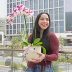 Orquídea en Maceta