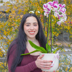 Orquídea en Maceta
