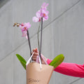 Orquídea Pa' Llevar