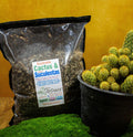 Sustrato para Cactus y Suculentas