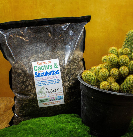 Sustrato para Cactus y Suculentas