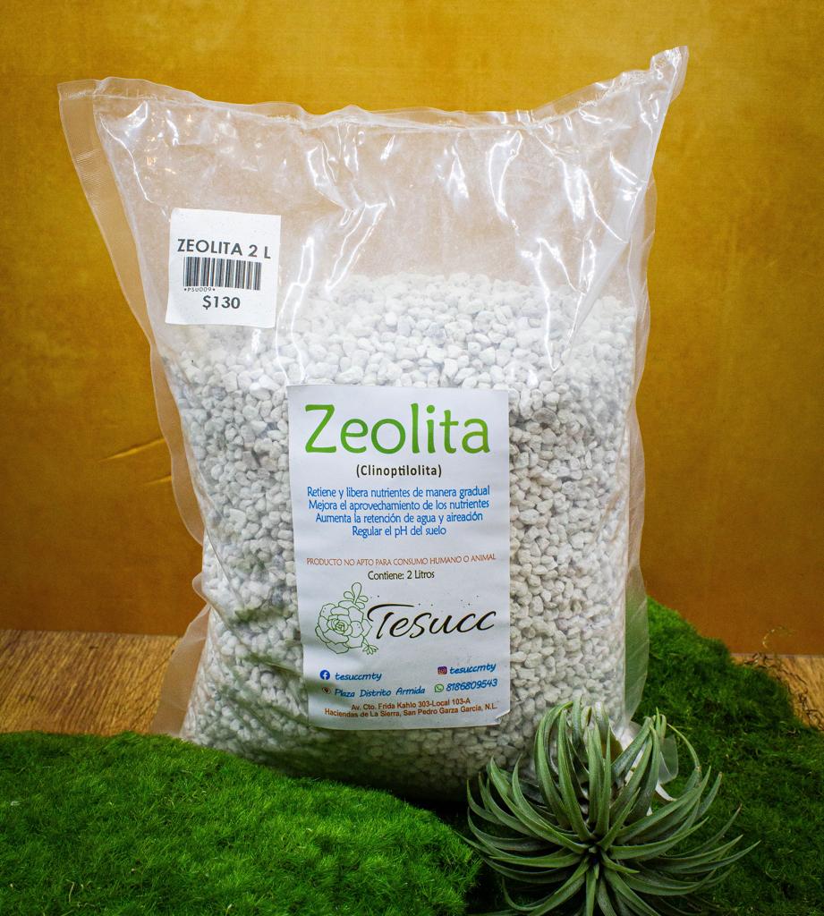 Zeolita- Liberadora de Nutrientes en Plantas