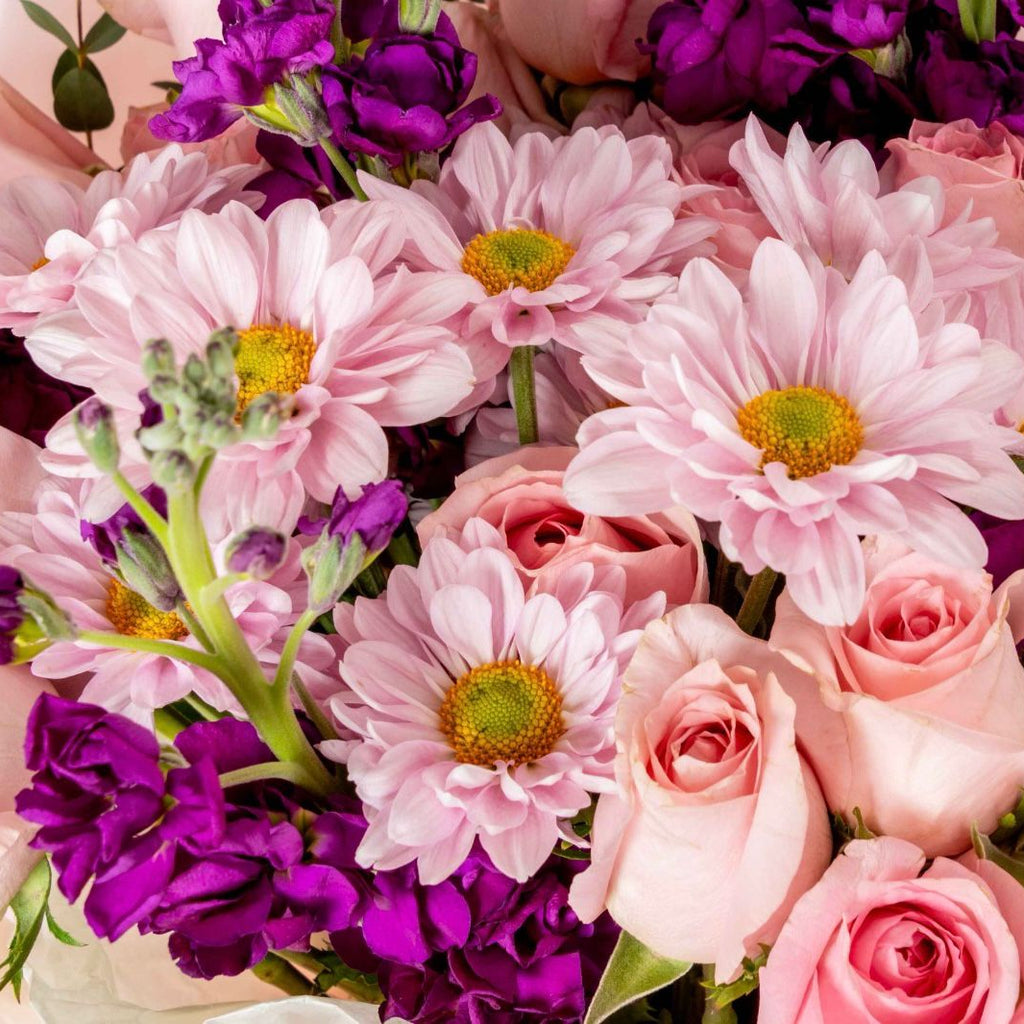 Bouquet Blush