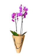 Orquídea Pa' Llevar