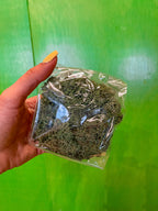 Musgo Preservado