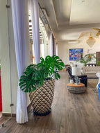 Piña