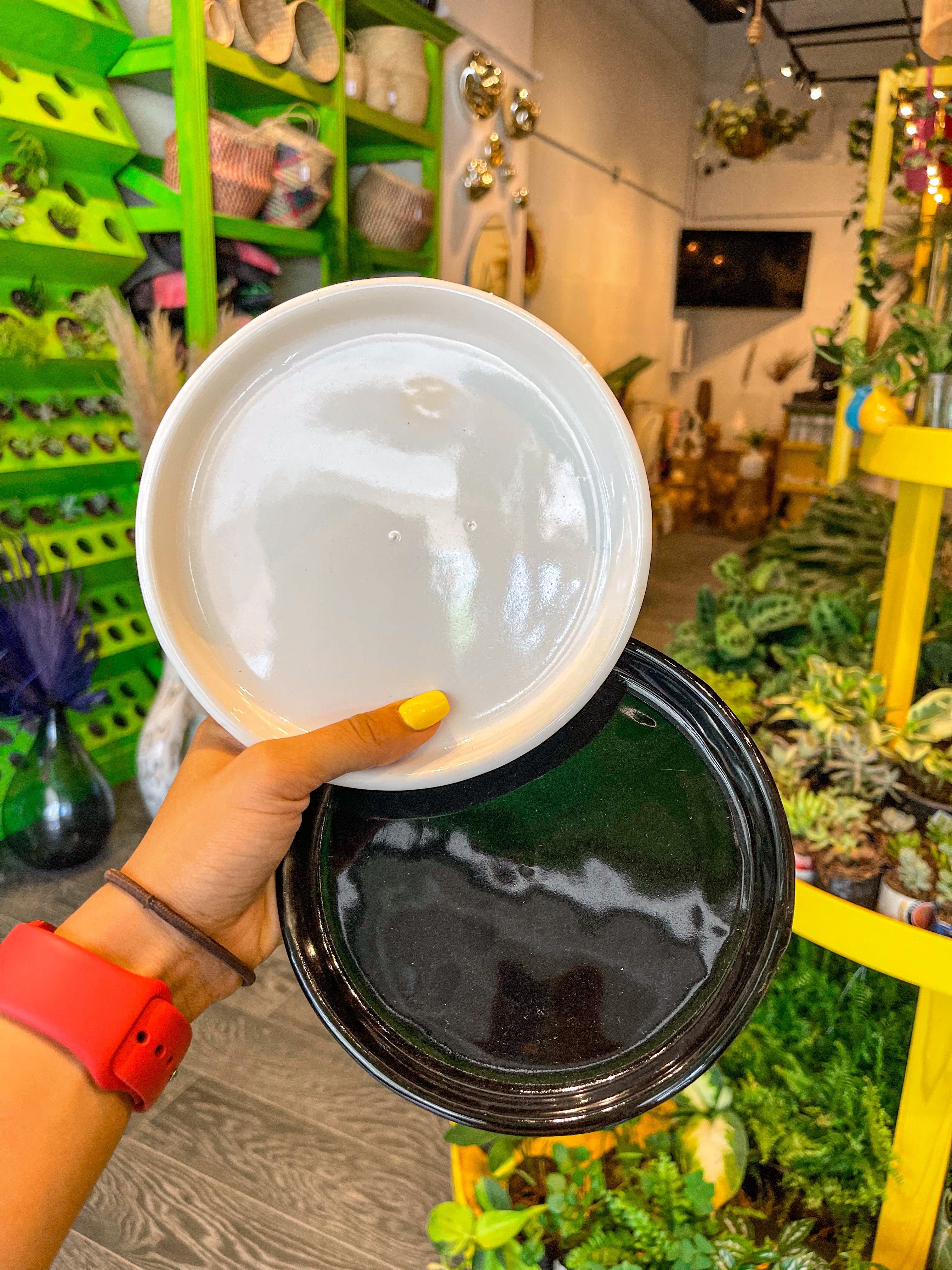 Plato de Cerámica